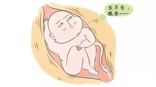 「大胖娃娃」隱患多多，不做漏網(wǎng)之魚，孕期糖尿病篩查不可缺！